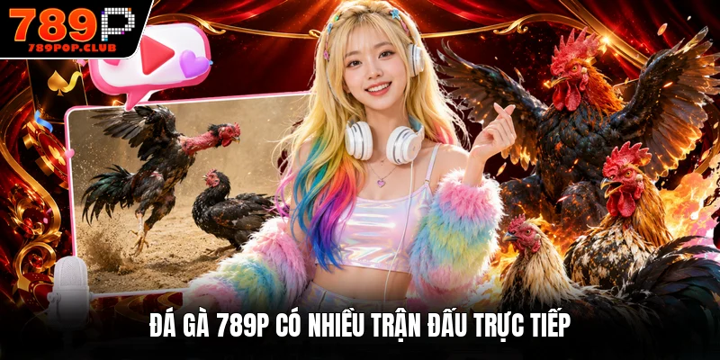 Đá gà 789P có nhiều trận đấu trực tiếp