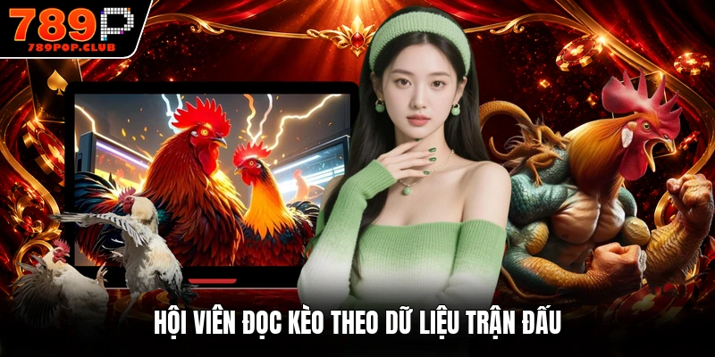 Hội viên đọc kèo theo dữ liệu trận đấu